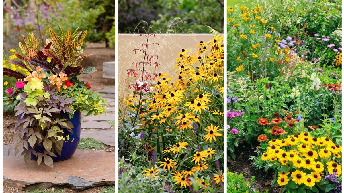 5 Low-Maintenance Perennials for Busy Gardeners