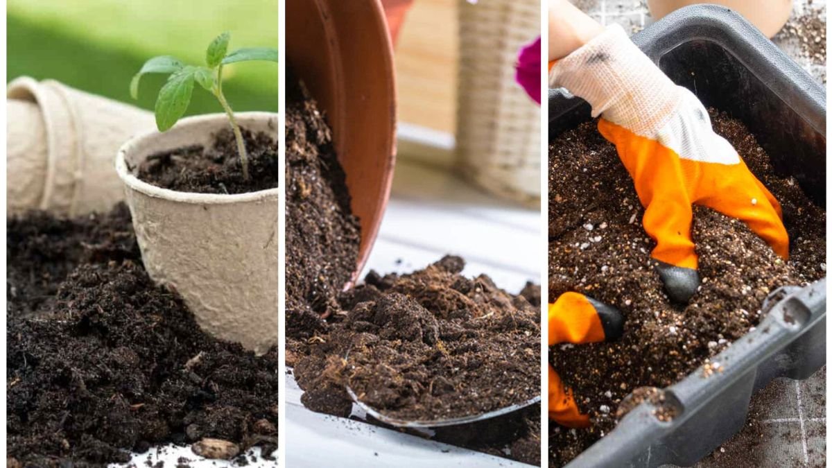 How to Refresh and Revitalize Old Soil
