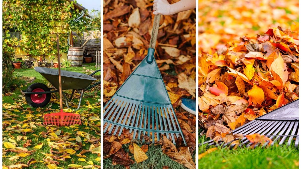 How to Prepare Your Garden for Fall