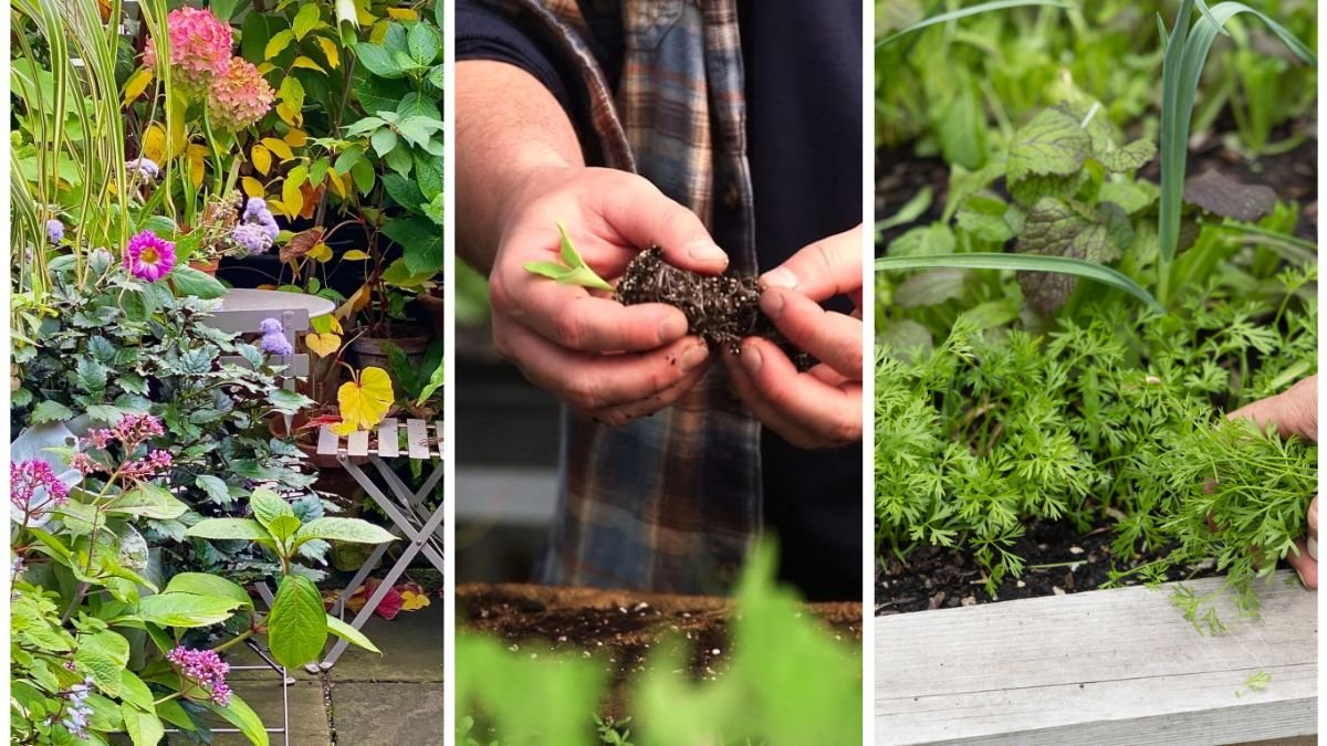 How To Extend Your Garden Season Into November