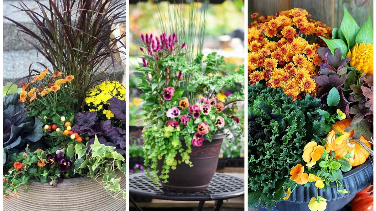 How To Create A Stunning Autumn Color Palette With Plants