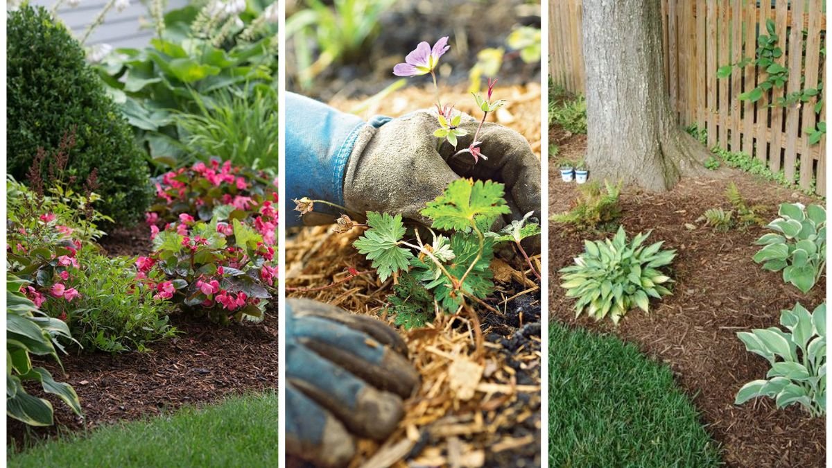 The Right Way To Mulch Your Garden Beds In Fall