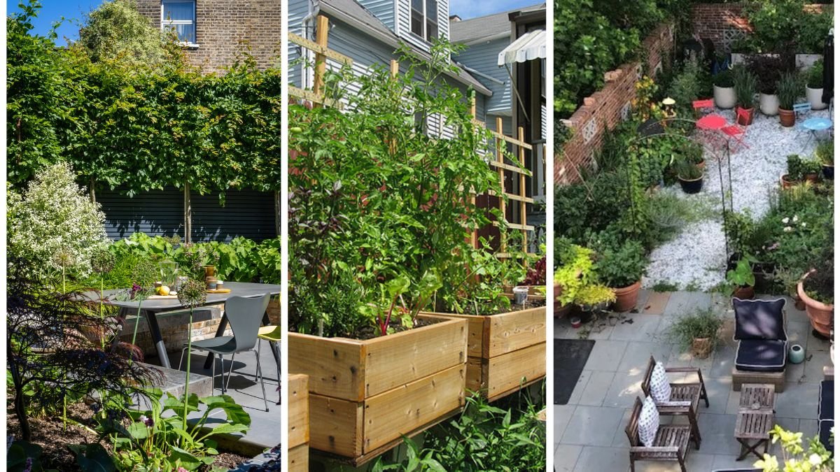 How to Keep Garden Peace in Tight Urban Areas