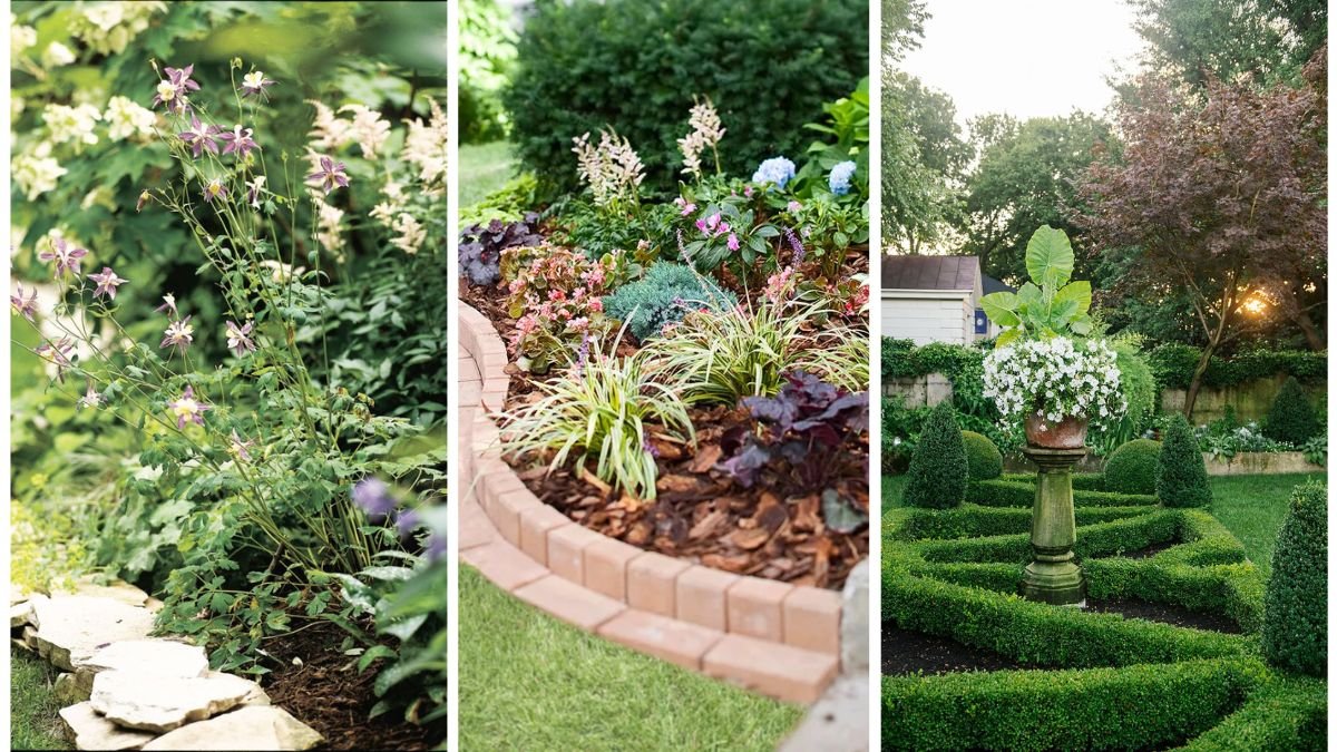 The Best Plants To Soften Hard Edges In Your Yard