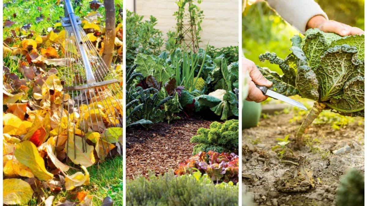 How To Keep Your Garden Productive Through November
