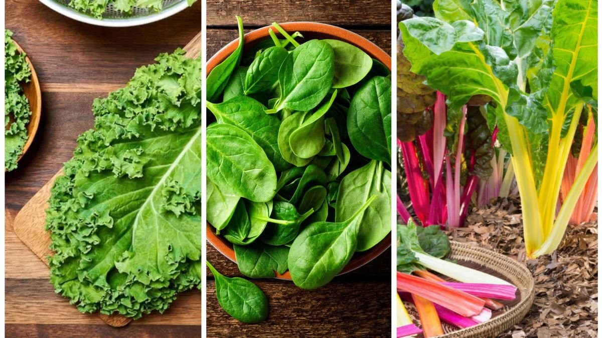 Top 5 Cold-Hardy Greens for Late Harvests