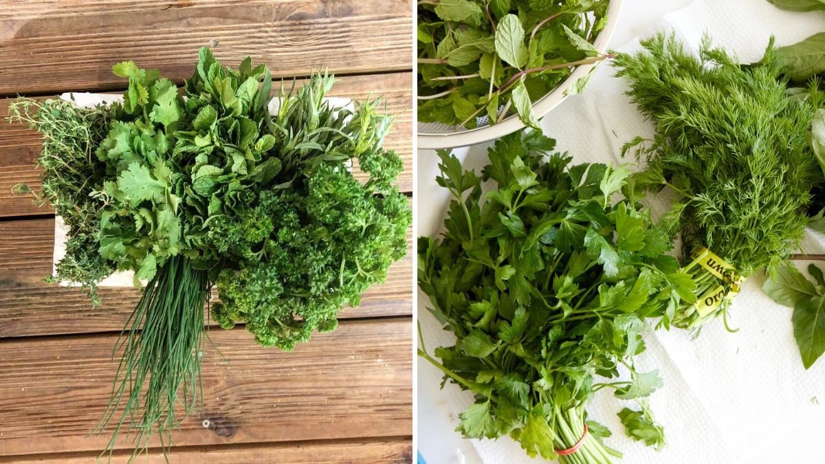 How to Store Fresh Herbs So They Last Longer