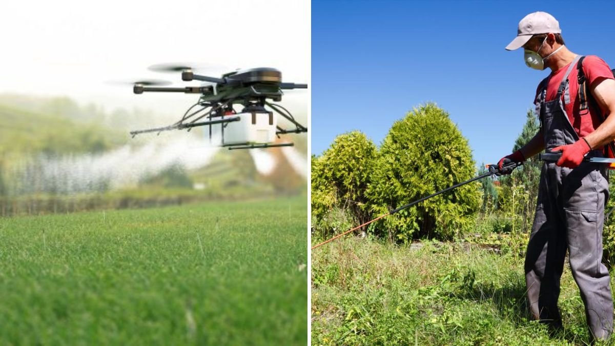 How To Deal With Neighbor Pesticide Drift