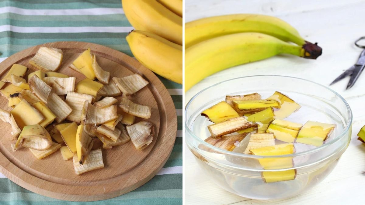 5 Smart Ways to Use Banana Peels in the Garden, According to Experts