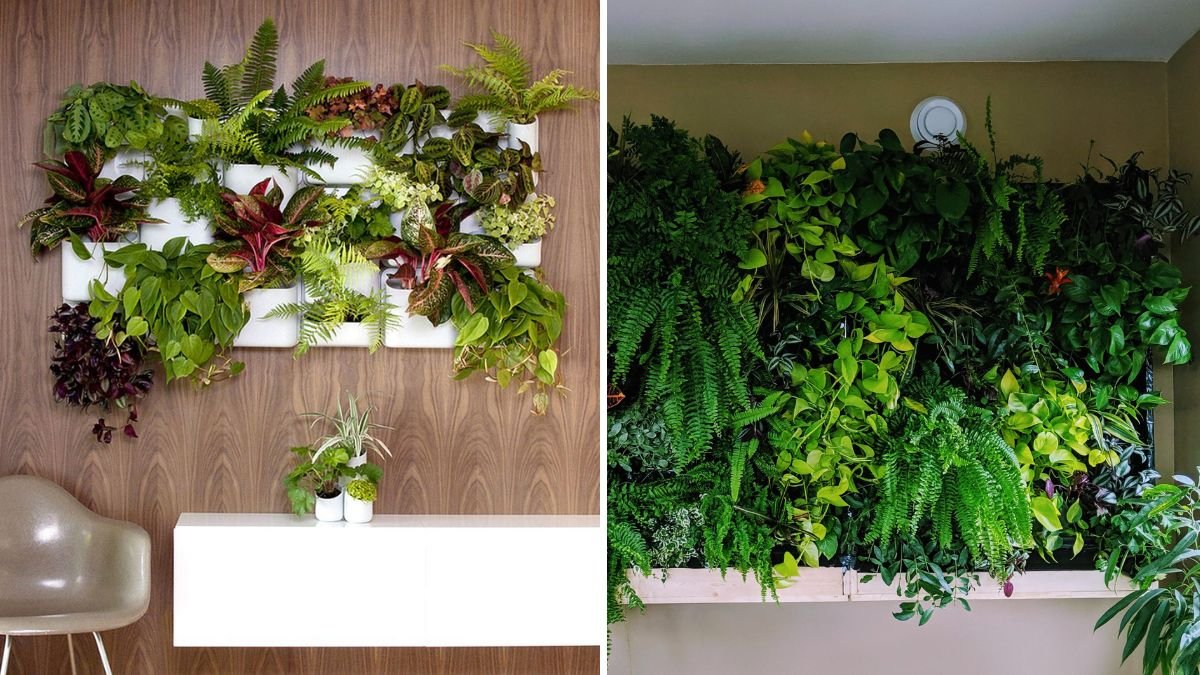 How to Grow Succulent Walls for Stunning Living Décor