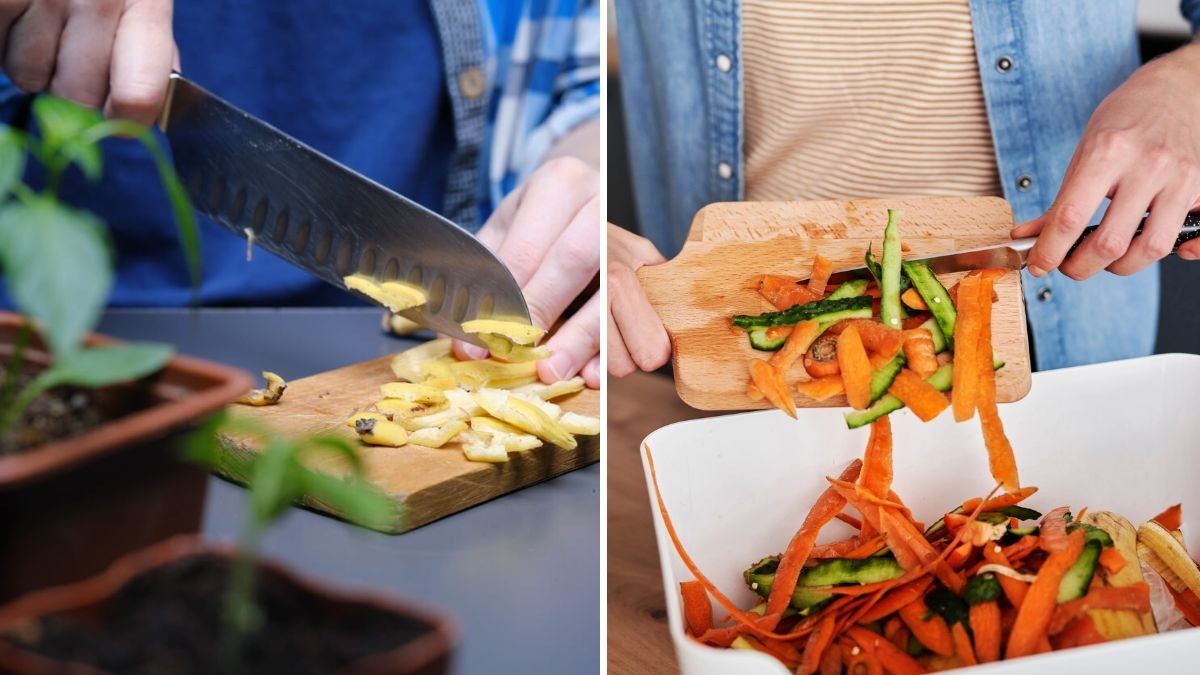 5 Kitchen Scraps You Can Use to Fertilize Plants Naturally