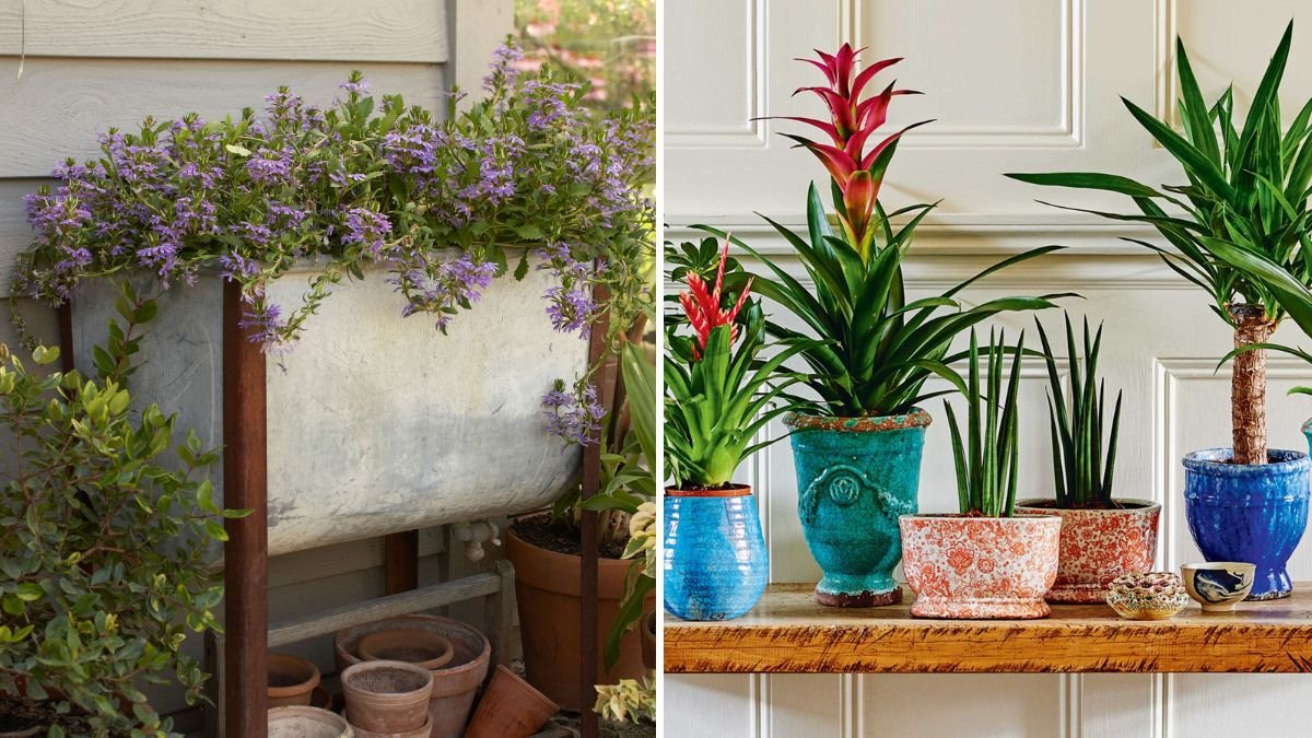 5 Upcycled Household Items You Can Turn Into Planters