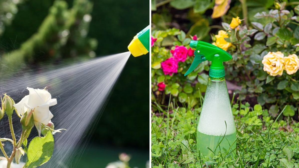 8 Natural Pest Repellents You Can Make at Home