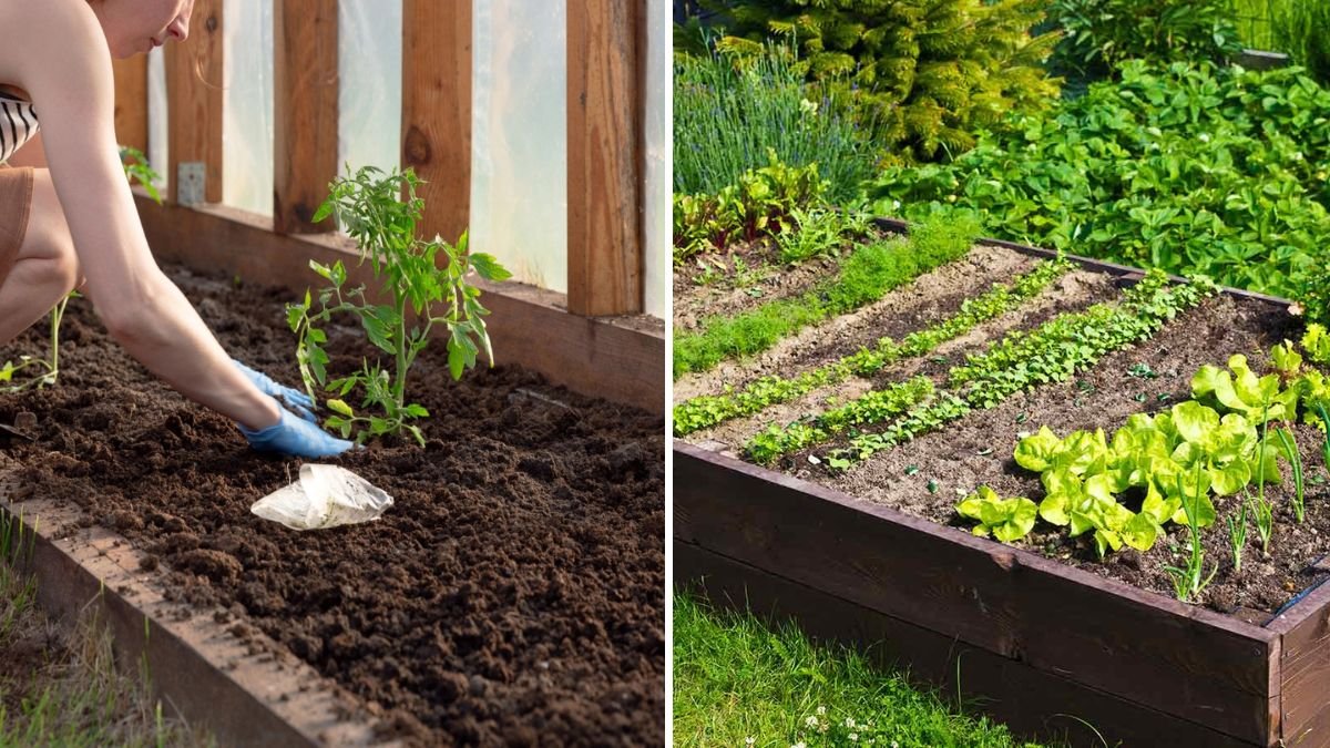 How to Prepare Your Garden Beds for Spring Planting