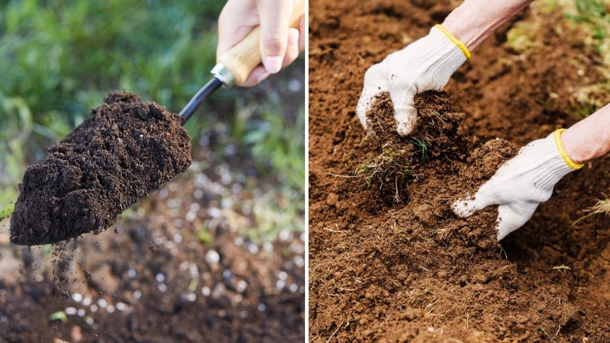 7 Signs Your Soil Needs Amending—And How to Fix It