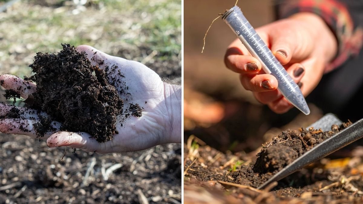 5 Soil Tests Every Gardener Should Try at Home