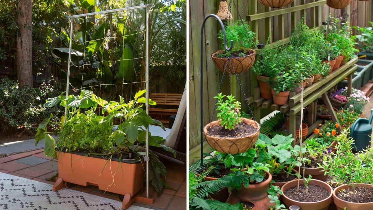 8 Best Containers for Healthy Plant Growth, According to Experts