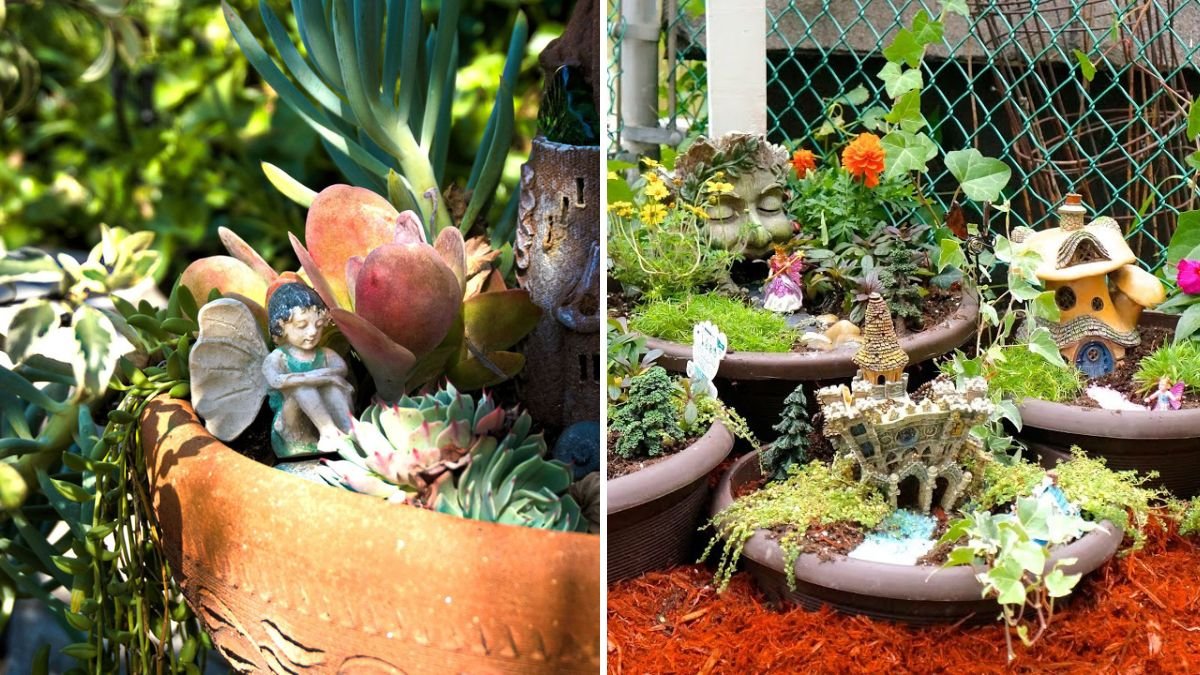 How to Create a Fairy Garden Using Miniature Plants