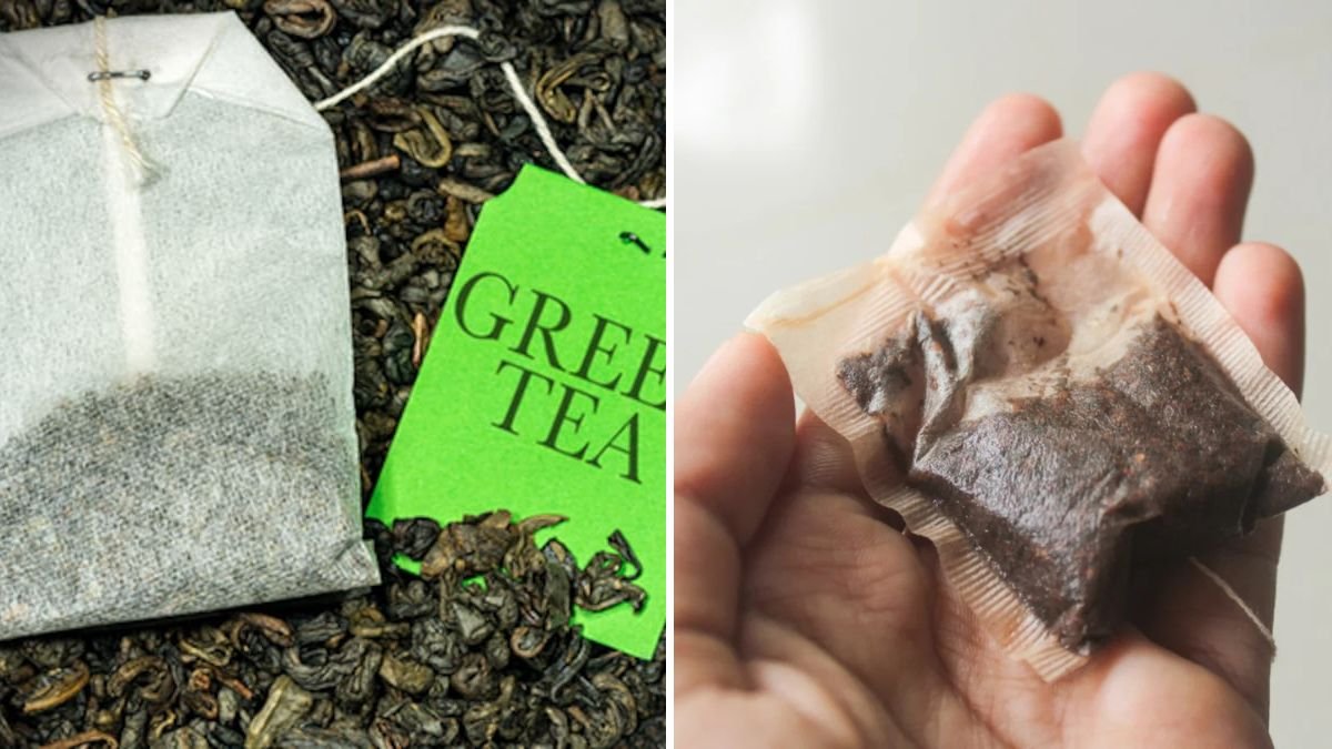 10 Garden-Friendly Ways to Reuse Old Tea Bags
