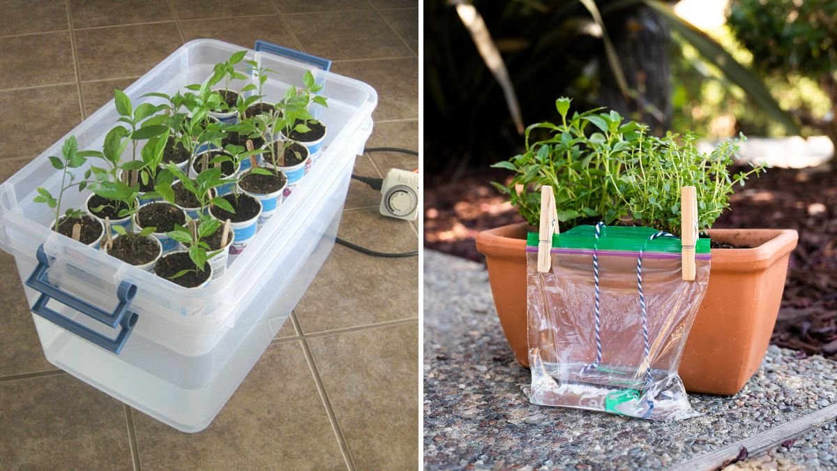 How to Create a Self-Watering Planter From Scratch