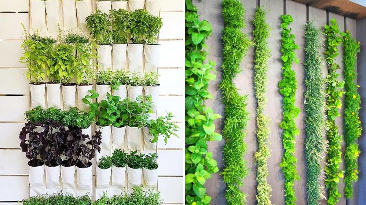 How to Build a Vertical Herb Garden on Your Wall