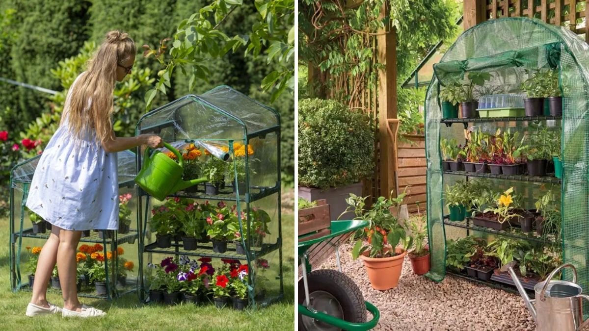 How to Build a Mini Greenhouse for Balconies