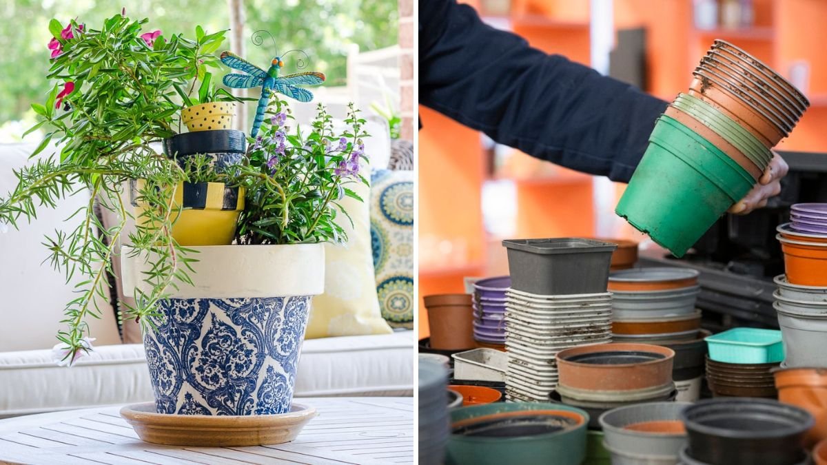 How to Reuse Old Pots Without Transmitting Disease